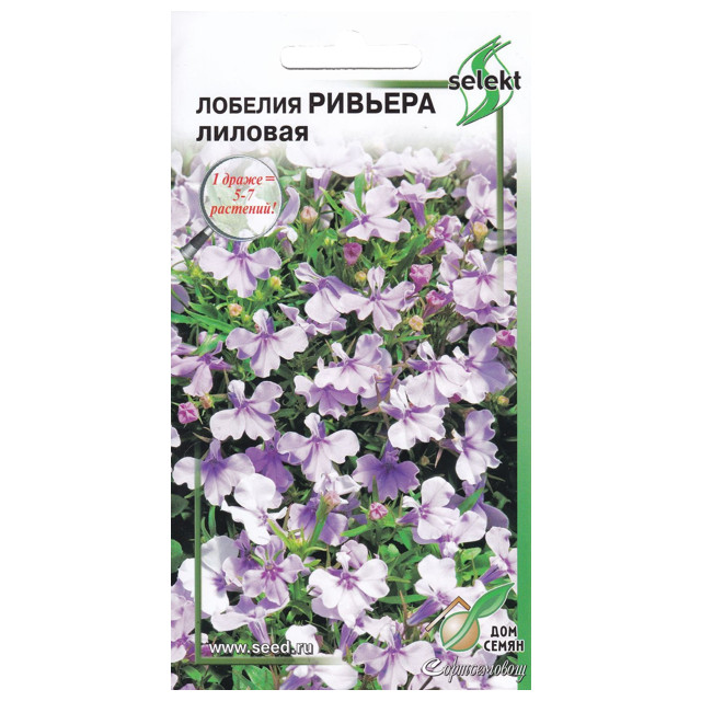 семена Лобелия Ривьера лиловая ДОМ СЕМЯН 0,05г