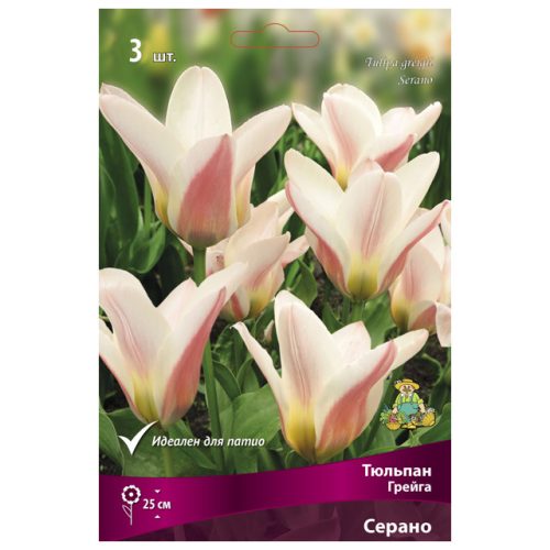 луковицы растений тюльпан Грейга Серано 3 шт. 10/11