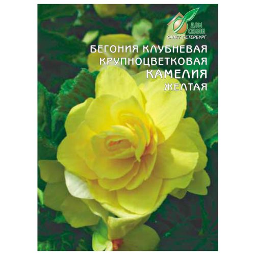 семена Бегония Камелия крупноцветковая желтая ДОМ СЕМЯН 0,001г