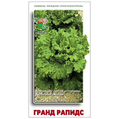 семена салат Гранд Рапидс ПОИСК 1г