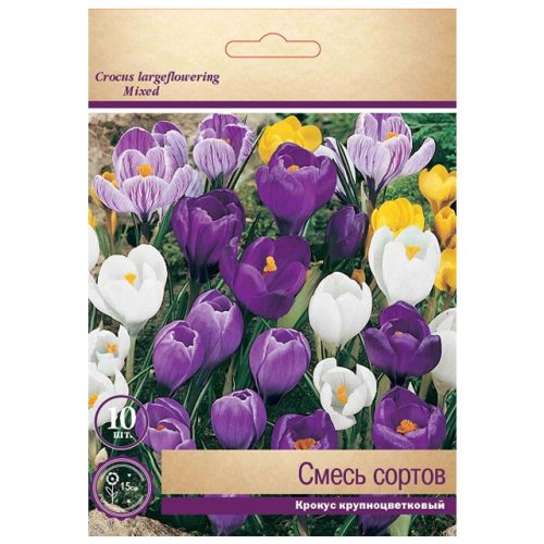 луковицы растений  крокусы крупноцветковые смесь окрасок в капере 10 шт. 8/9