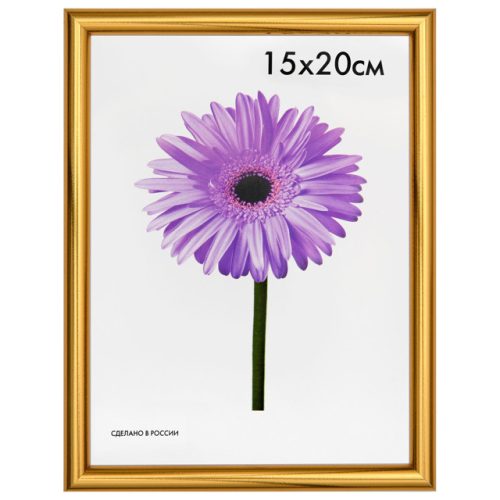 фоторамка MARIA 150х200мм золото пластик