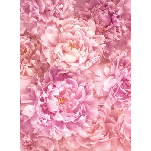 фотообои KOMAR флизелиновые 184х248см Soave, арт.XXL2-009