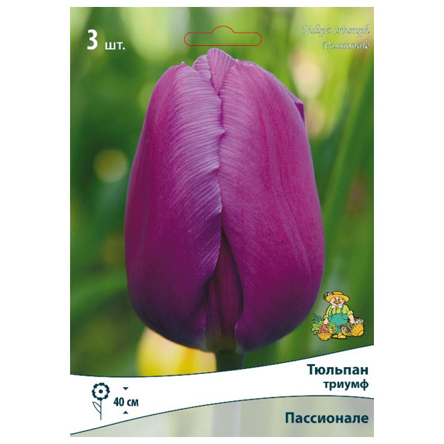 луковицы растений тюльпан триумф Пассионале 3 шт. 10/11