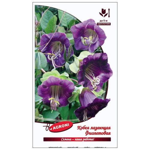 семена Кобея лазающая фиолетовая АГРОНИ 0,3г
