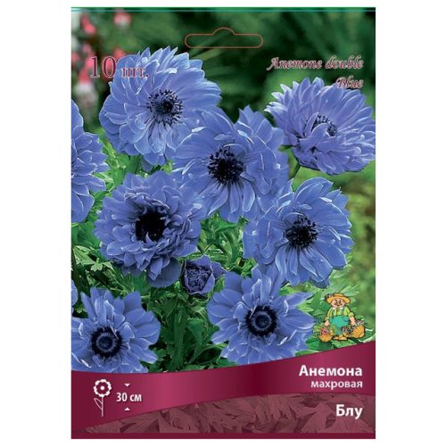 корни растений анемона махровая Блу 10 шт. 5/6