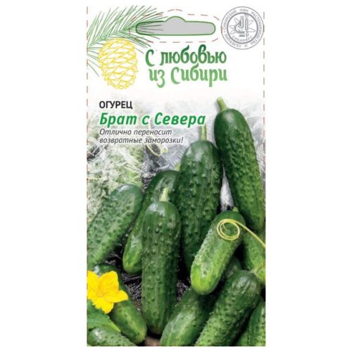 семена огурец Брат с Севера 0,25 г