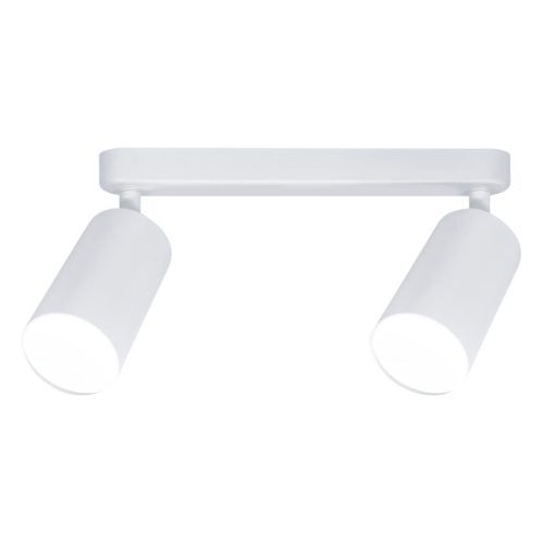 спот RITTER Артон поворотный 2хGU10 цилиндр алюминий белый