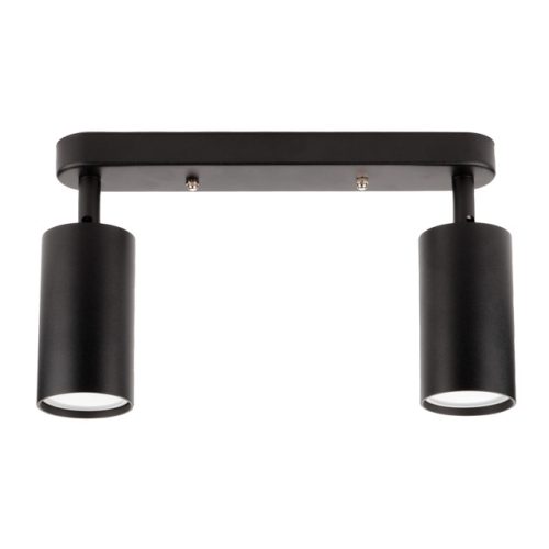 спот поворотный RITTER Артон 2хGU10 40Вт металл черный